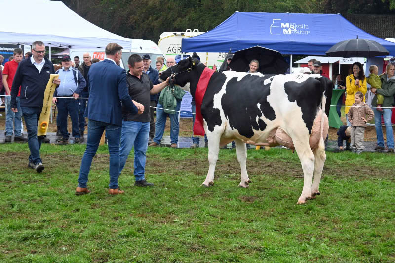 Grand Champion Fanny von der Welsing Milch GbR aus Bocholt