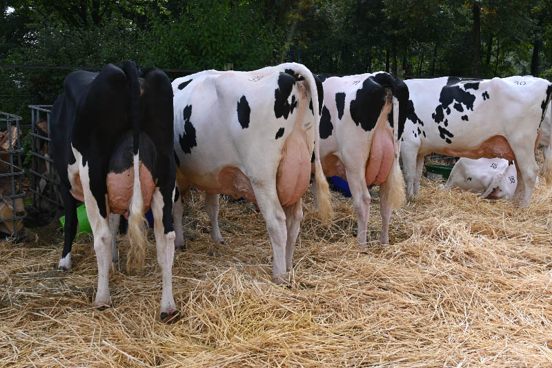 Tag der Landwirtschaft 2026 auf Hof Schulze-Beikel