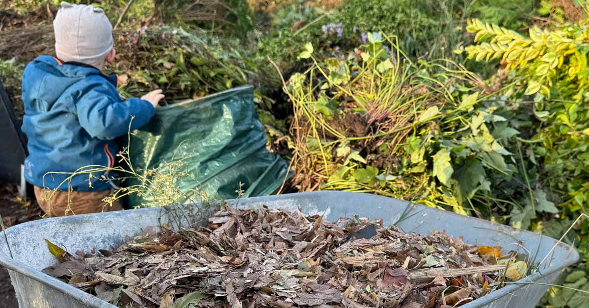 Herbstlaub in Raesfeld: Zusätzliche Abgabezeiten und Sammelstelle in Erle